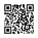 T38102-10-0 QRCode