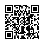 T38105-24-0 QRCode