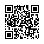 T38107-09-0 QRCode