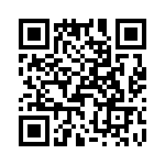 T38108-07-0 QRCode