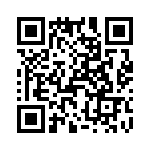 T38108-13-0 QRCode