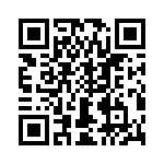 T38110-04-0 QRCode