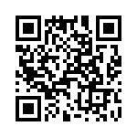 T38110-10-0 QRCode