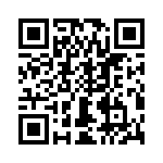 T38111-02-0 QRCode