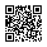 T38115-09-0 QRCode