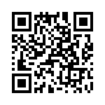 T38117-09-0 QRCode