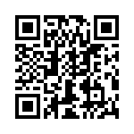 T38120-22-0 QRCode