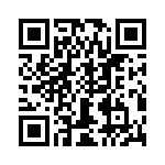 T38125-02-0 QRCode