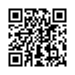 T38130-04-0 QRCode