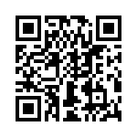 T38131-25-0 QRCode