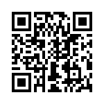 T38132-11-0 QRCode