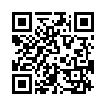 T38132-12-0 QRCode