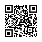 T38135-02-0 QRCode