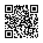 T38153-07-0 QRCode