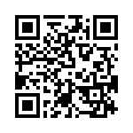 T38162-13-0 QRCode