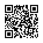 T38163-23-0 QRCode