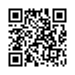 T38167-17-0 QRCode