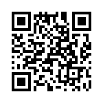 T38175-10-0 QRCode