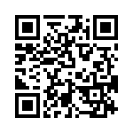 T38177-13-0 QRCode