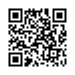 T38210-24-0 QRCode