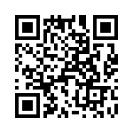 T38213-21-0 QRCode