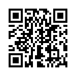 T38312-13-0 QRCode