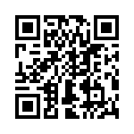 T38313-04-0 QRCode