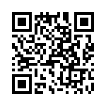 T38313-16-0 QRCode