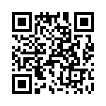 T38313-17-0 QRCode