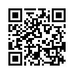 T38317-02-0 QRCode