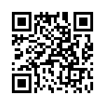 T38321-06-0 QRCode