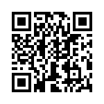 T38325-22-0 QRCode