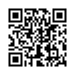 T38328-03-0 QRCode