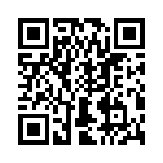 T38332-17-0 QRCode