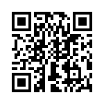 T38333-03-0 QRCode