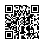 T38335-04-0 QRCode