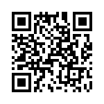 T38338-17-0 QRCode