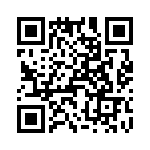 T38360-21-0 QRCode