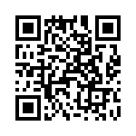 T38360-24-0 QRCode