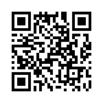 T38362-17-0 QRCode