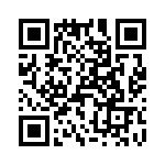 T38363-10-0 QRCode