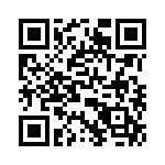 T38410-13-0 QRCode