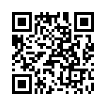 T38410-20-0 QRCode