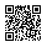 T38411-01-0 QRCode