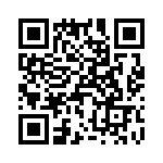 T38411-04-0 QRCode