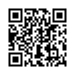 T38411-12-0 QRCode