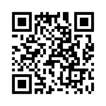 T38411-17-0 QRCode