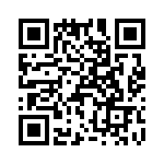 T38411-25-0 QRCode