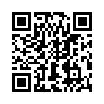 T38412-03-0 QRCode