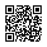 T38412-10-0 QRCode